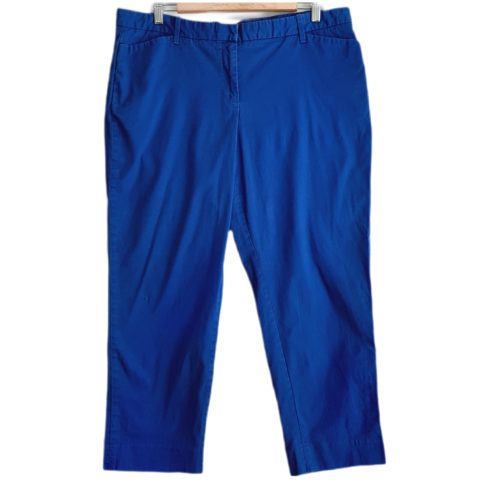 🍒 GAP Slim Cropped Mid-Rise Blue Pants PLUS Sz 16